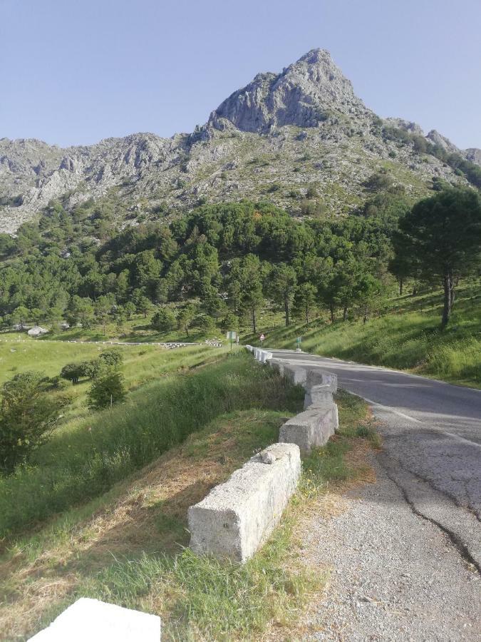 Vivelorural Casa Tassone, Grazalema - Cadiz Villa Exteriör bild